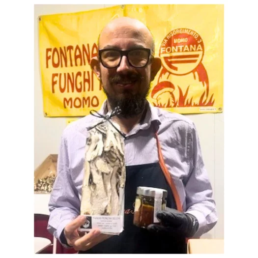 FONTANA FUNGHI