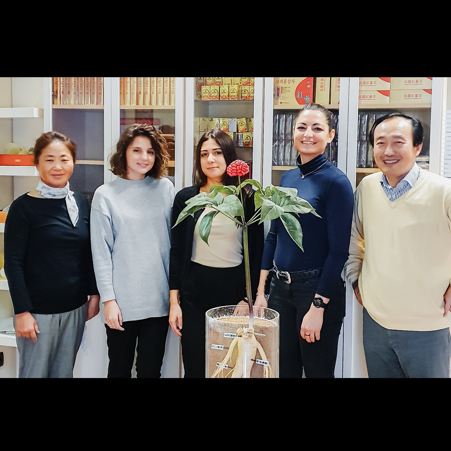 GINSENG COREANO - SKIN IV