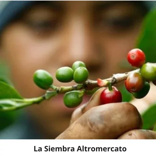 LA SIEMBRA COOP. SOCIALE DI SOLIDARIETA'