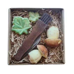 Coffret Chocolat : Chercheur de Champignons