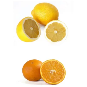 Arance e limoni di Sicilia, Az. Agr. A. Gagliano, 10kg