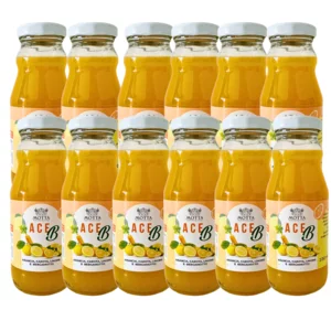 ACE-B Orangen-, Karotten-, Zitronen- und Bergamottensaft 12x200 ml