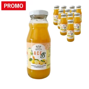 ACE-B Orangen-, Karotten-, Zitronen- und Bergamottensaft 12x200 ml