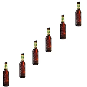 Bohemia Regent birra premium chiara, 6x0,33L