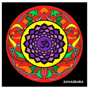 Mandala da colorare in velluto con pennarelli inclusi: Sahasrara
