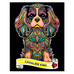 Quadro small con disegno in velluto da colorare: Cavalier King, 21x29,7cm