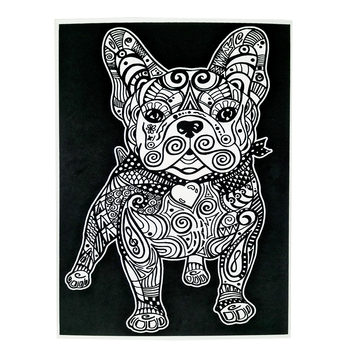 Pittura fai da te per adulti Bulldog francese Pet Dog Animal