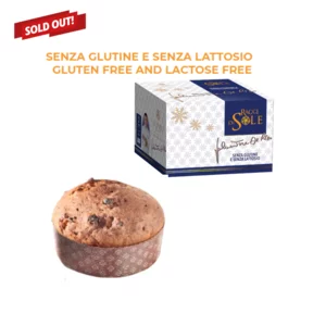 Panettone milanais sans gluten et sans lactose, Sal De Riso, 500g