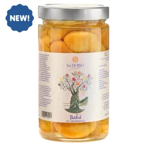 Babà artigianale con limoncello Costa d'Amalfi IGP,  Sal De Riso, 700g 