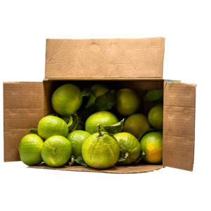 Bergamote fruit frais de Calabre bio, paquet de 10kg