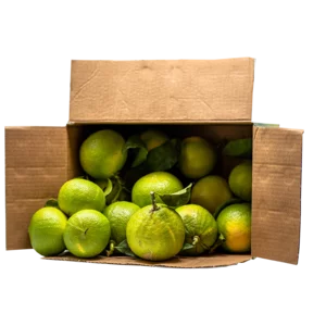 Bergamote fruits frais de Calabre, paquet de 5kg