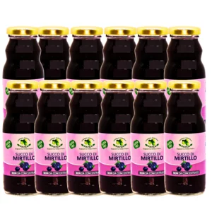 Reiner Heidelbeersaft, 12x200ml