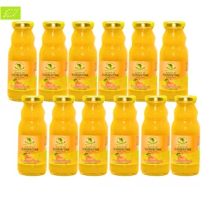 Bio-Clementinensaft, 12x200ml