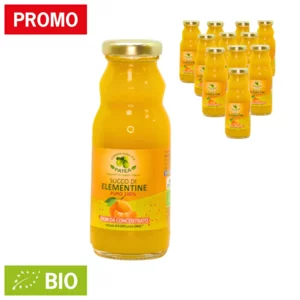 Bio-Clementinensaft, 12x200ml