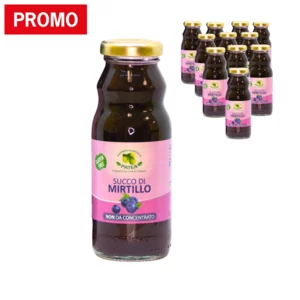 Jus de myrtille pur, 12x200ml