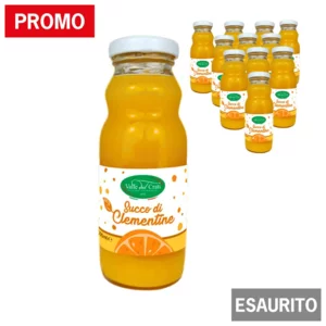 Succo di clementine,12x200ml