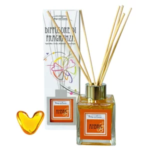 Diffusore di fragranza con bastoncini Ambra, 100ml
