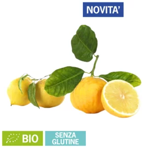 Bergamotto fresco di Reggio Calabria raccolto a mano, 4kg