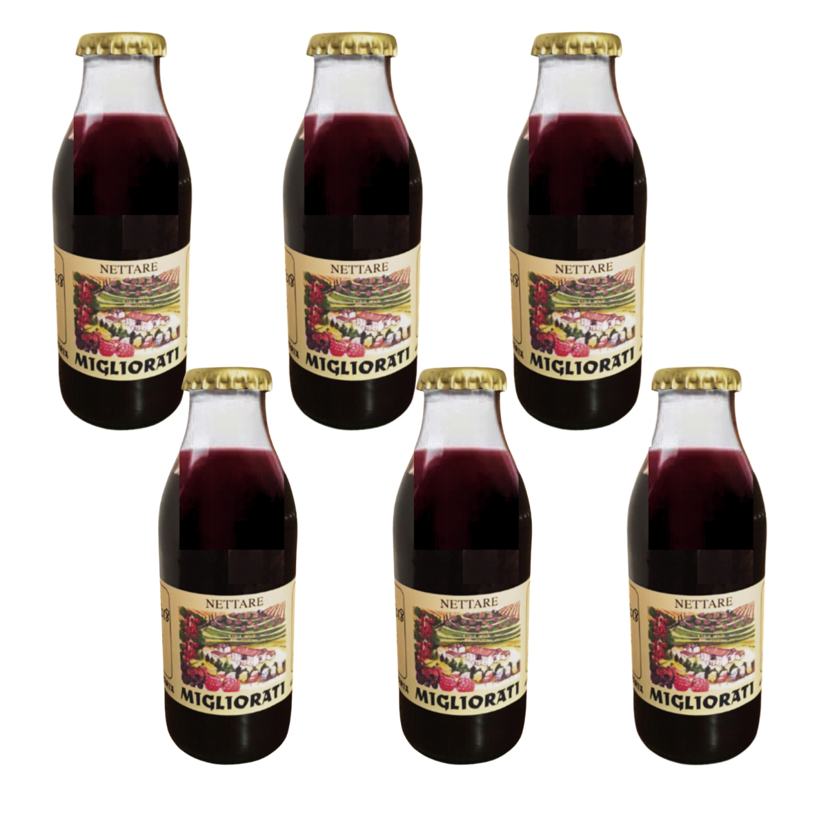 Blaubeernektar, 6x125ml