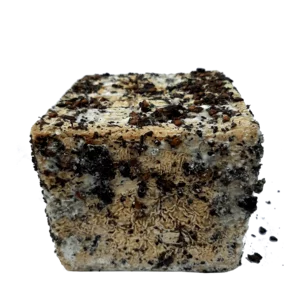 Il Filosofo Käse, Salva cremasco DOP mit getrocknetem Trester und Blüten, 0,95kg