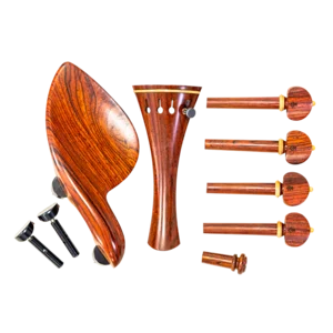 Completo di accessori per violino
