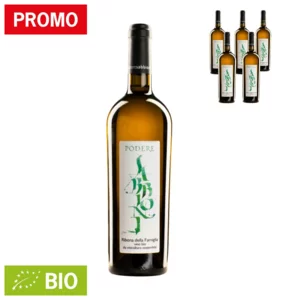 Ribona della Famiglia DOC, vino bianco biologico, 6x750ml