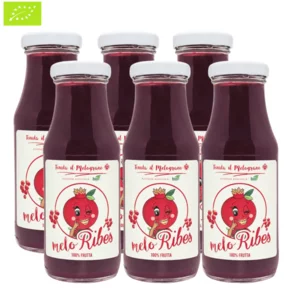 Bio Granatapfel- und Johannisbeersaft, Karton mit 6 Flaschen, 6x200ml