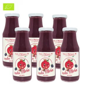 Bio-Granatapfel- und Brombeersaft, Karton mit 6 Flaschen, 6x200ml