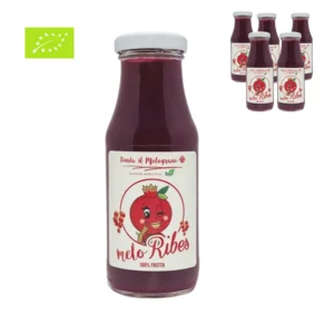 Bio Granatapfel- und Johannisbeersaft, Karton mit 6 Flaschen, 6x200ml