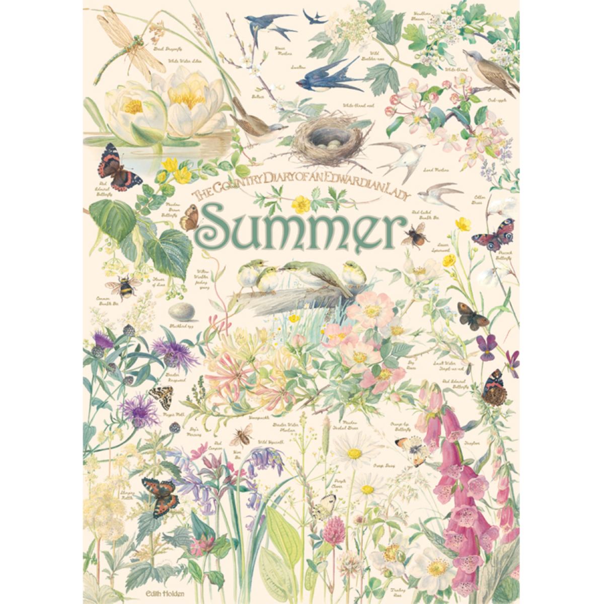 Cobble Hill Colcha Country Diary-Póster Muestra Incluido