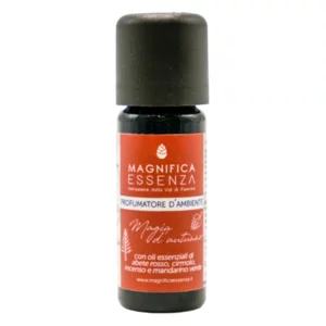 Profumatore d'ambiente con olii essenziali, Magia d'Autunno, 10ml