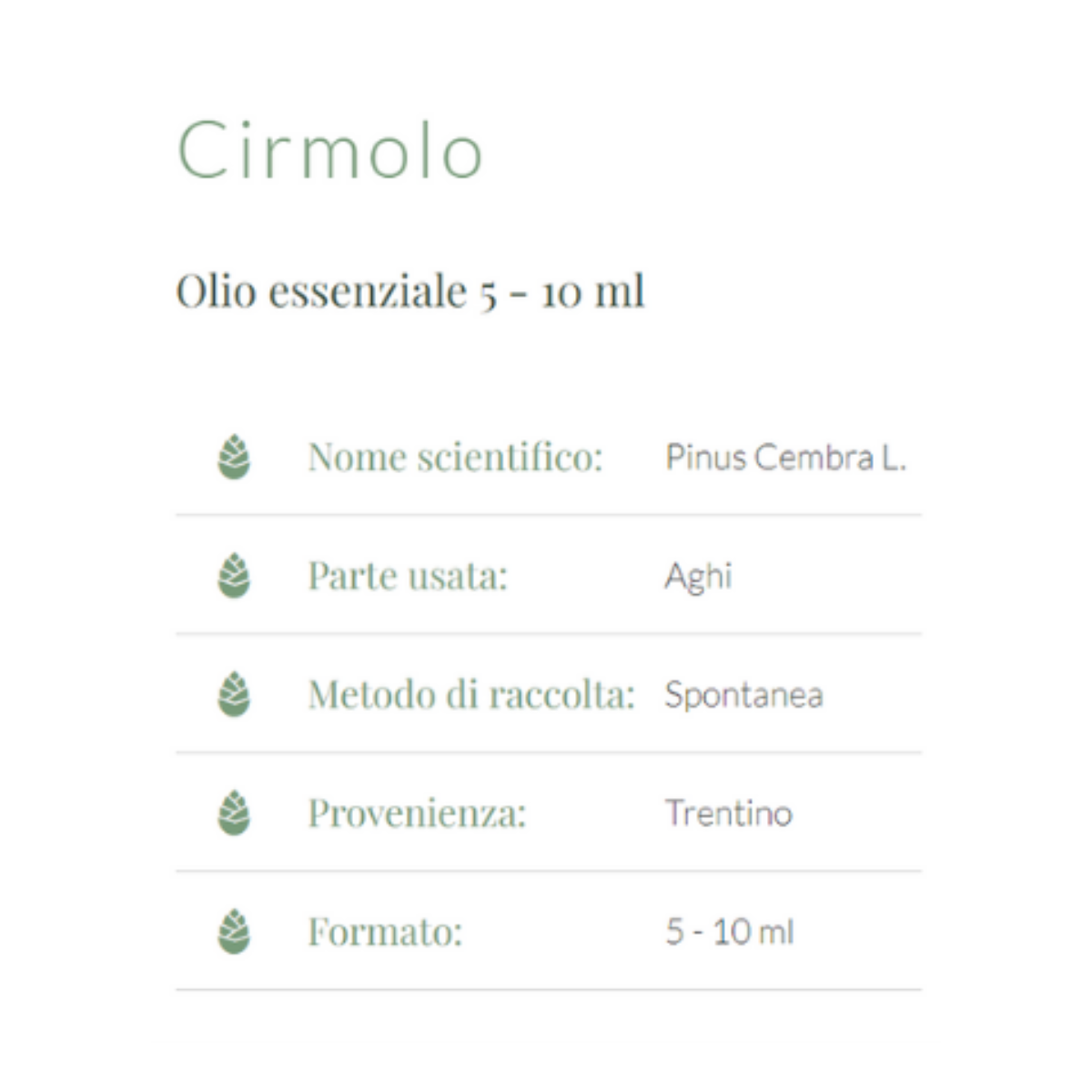 Olio Essenziale Di Abete Nero Mystic Moments - 500g, Puro Al 100%, Naturale, Vegano, Per Diffusori E Aromaterapia