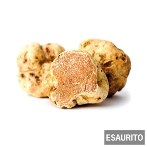 100g de Tartufo Bianco Fresco - Tuber Magnatum Pico