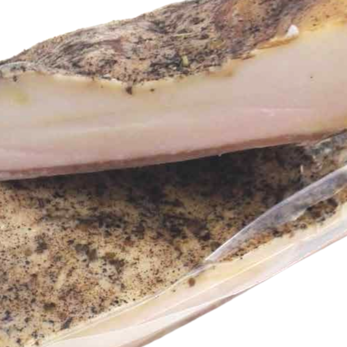 Lardo di suino calabrese, senza conservanti, 1kg