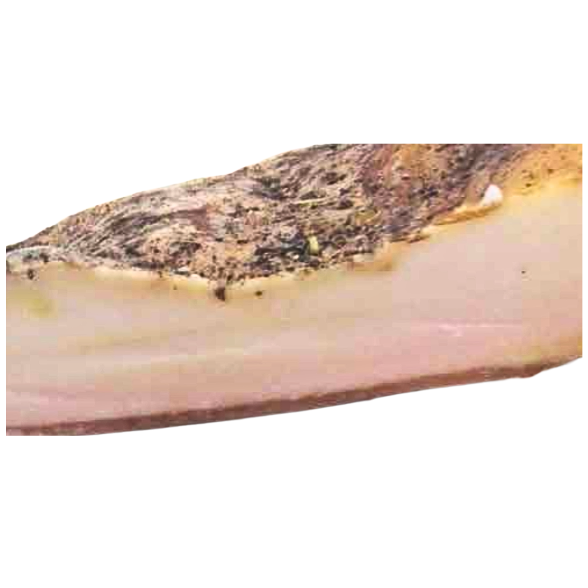 Kalabrisches Schweineschmalz, ohne Konservierungsstoffe, 1kg