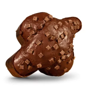 Handwerkliche Schokoladen-Colomba 