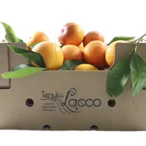 Oranges Tarocco bio pour jus, carton de 10 kg