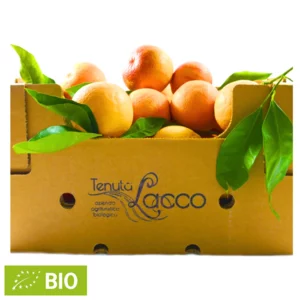 Oranges de Tarocco bio, carton de 10 kg