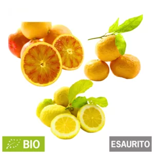 Agrumes bio, carton 20 kg
