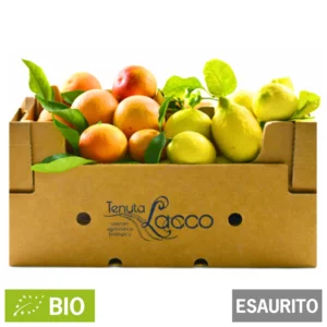 Oranges Tarocco et citrons Zagara bio, caisse de 20kg
