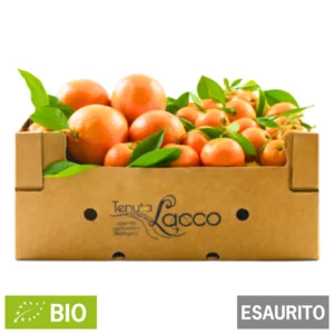 Arance e mandarini biologici, cassetta da 20kg
