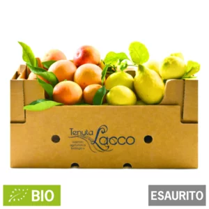 Arance valencia e limoni zagara biologici, cassetta da 20kg