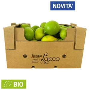 Limoni zagara bianca biologici siciliani verdelli, cassetta da 10kg