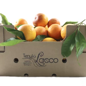 Oranges de Tarocco bio, carton de 20 kg