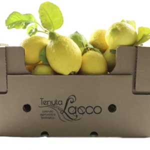 Citrons blancs de Zagara bio, carton de 20 kg
