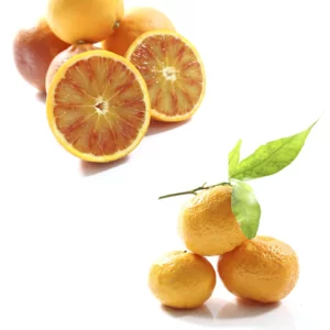 Arance e mandarini biologici, cassetta da 20kg