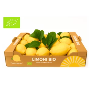 Limoni Costa D'Amalfi BIO con buccia edibile, 5Kg