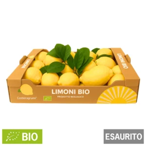 Limoni Costa D'Amalfi BIO con buccia edibile, 7Kg