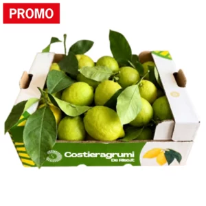 Citrons Primofiore à écorce comestible, 7 kg