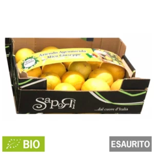 Bergamote naturelle de Calabre, fruit frais bio, 5 kg
